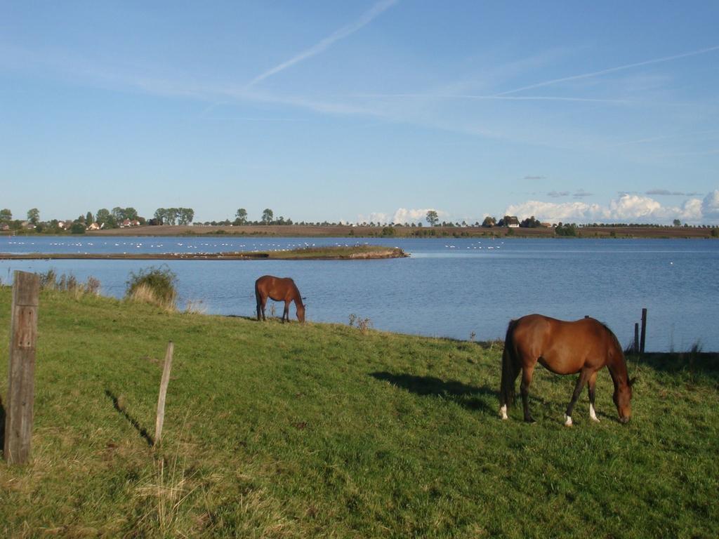 Appartementanlage Zur Seemoewe Insel Poel Bagian luar foto